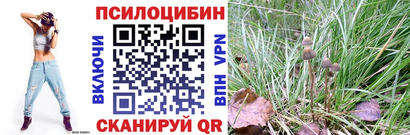 купить наркотики сайты Пугачёв Галлюциногенные грибы MAGIC MUSHROOMS